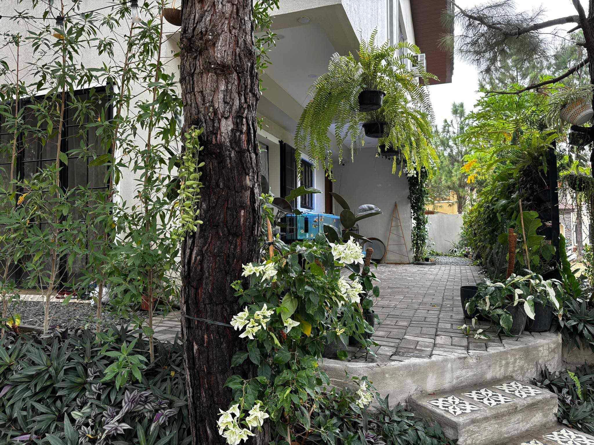 Beautiful4-BedroomHouseforSaleinAmoreatPortofinoDaangReyna-3.jpg