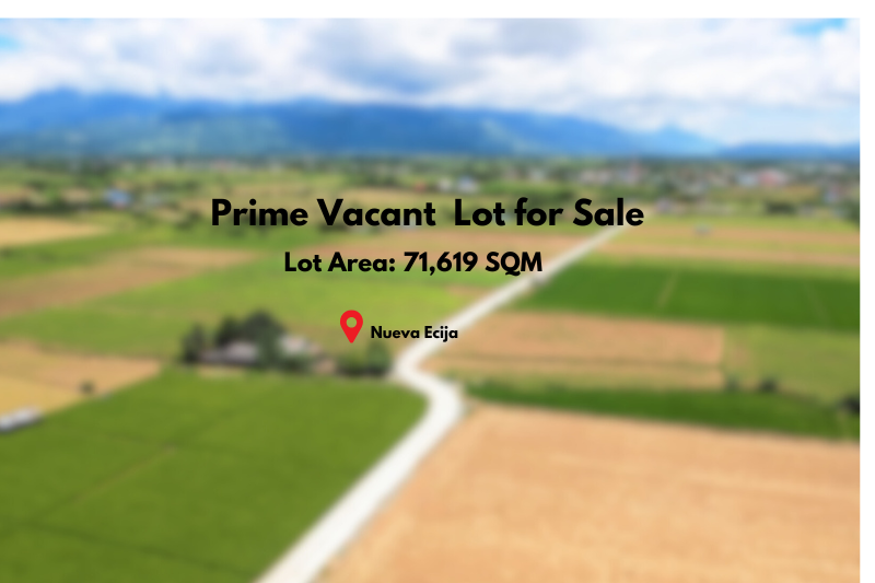 71,619SQMPrimeVacantLotforSaleinNuevaEcija-1.jpg