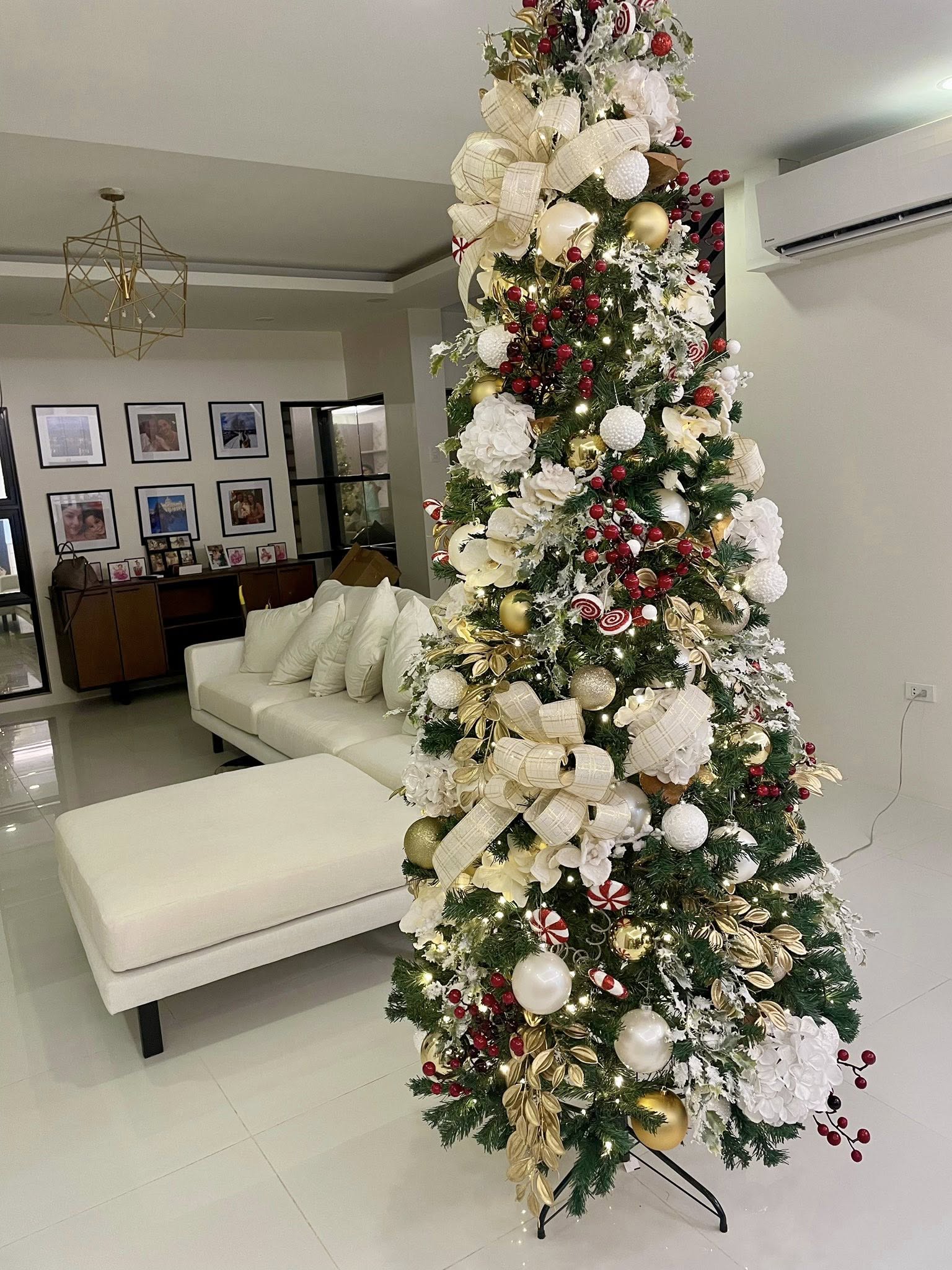 Fabulous3-BedroomHouseandLotforSaleinDonBoscoParañaque-1.jpg