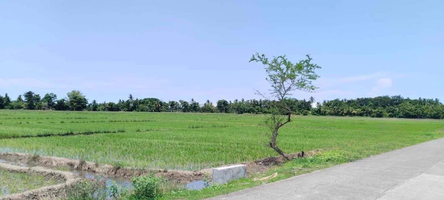 500,000SQMCommercialLotforSaleinOccidental,Mindoro-1.jpg