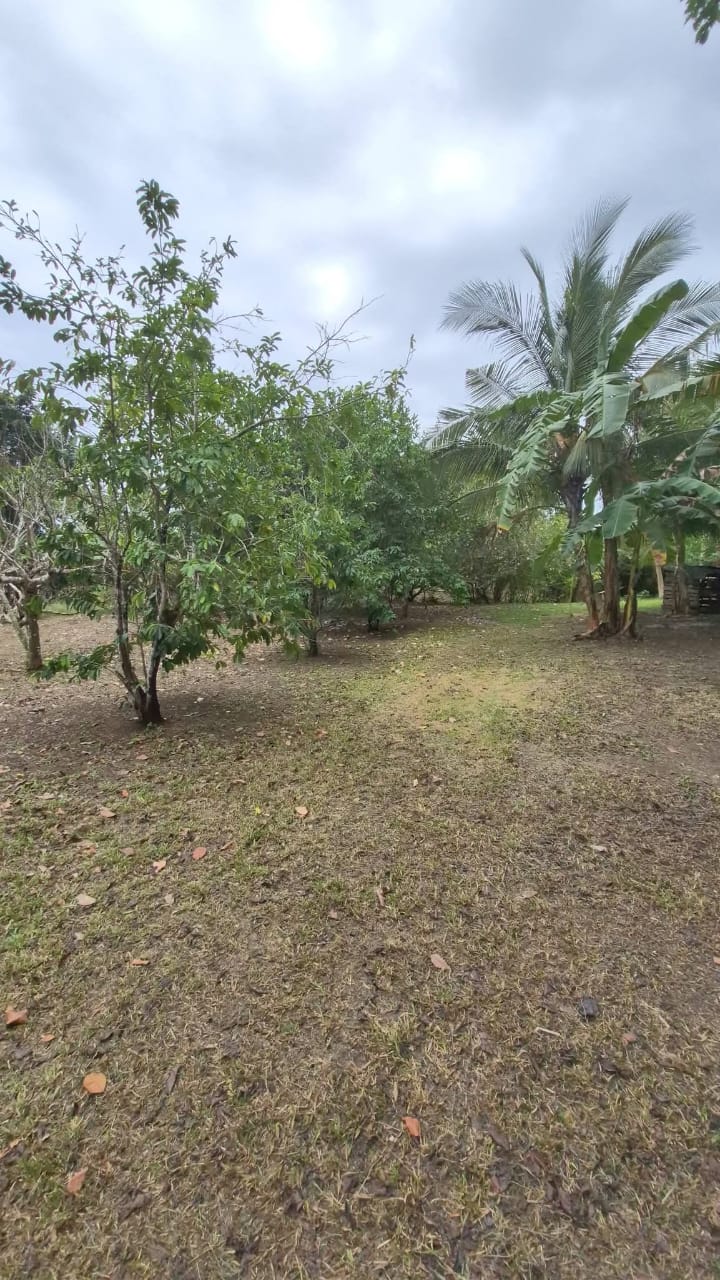 20,001SQMVacantLotforSaleinPuertoPrincessa,Palawan-1.jpg