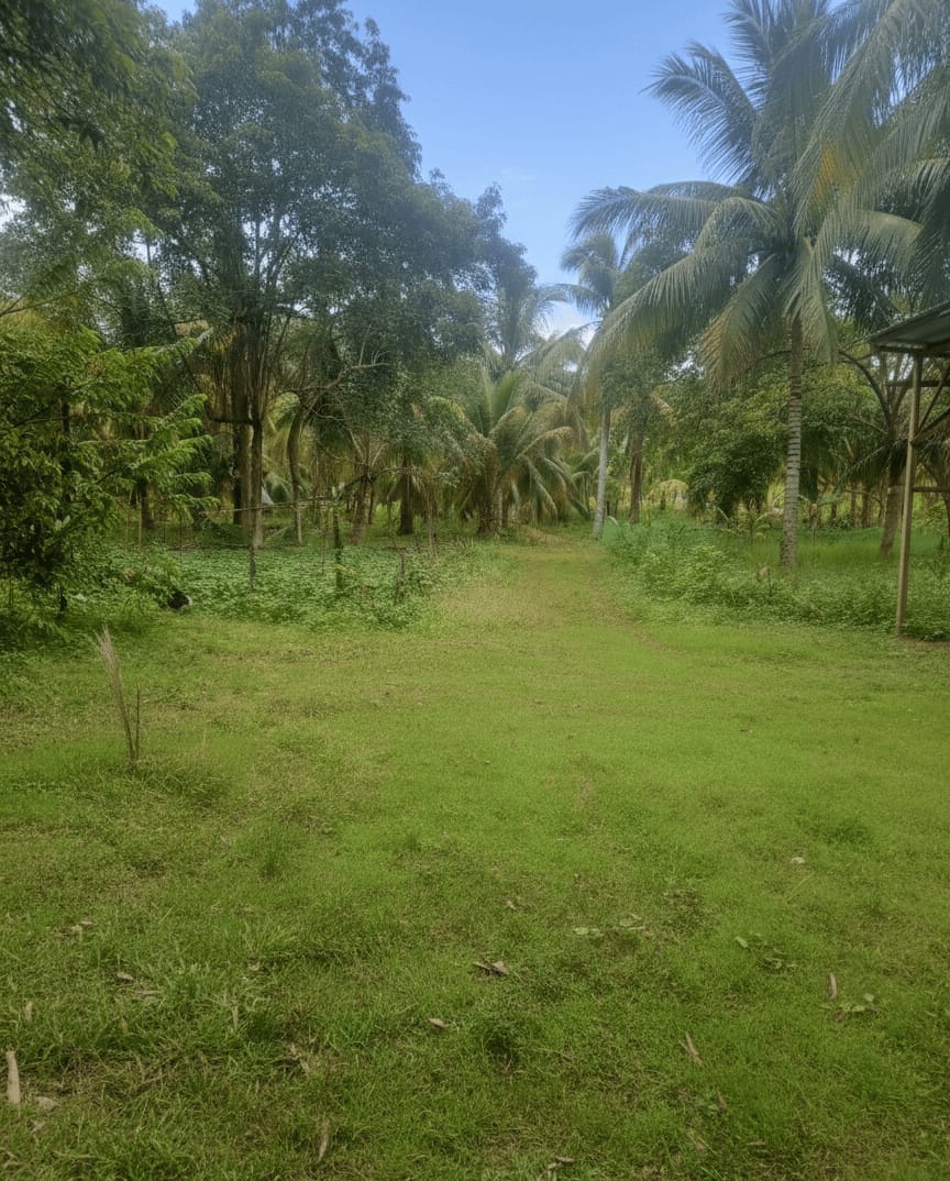 8,643SQMVacantLotforSaleinSamalIsland,DavaoDelNorte-1.jpg