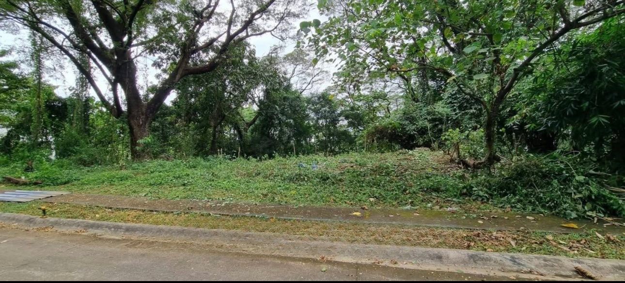 810SQMVacantLotforSaleinHavila,Angono,Rizal-1.jpg