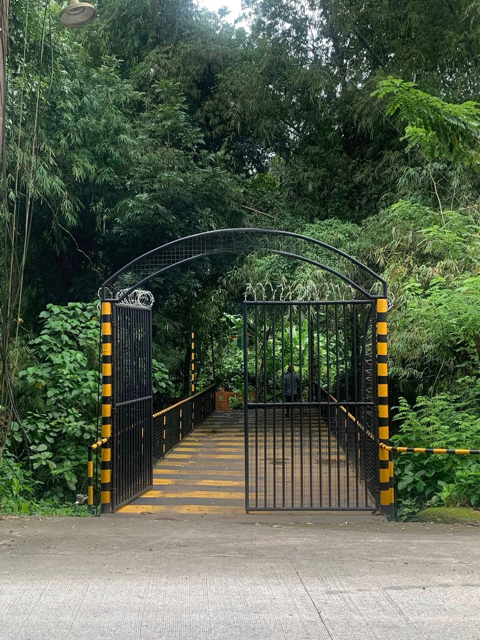 4569SQMFarmLotforSaleinSilang,Cavite-1.jpg